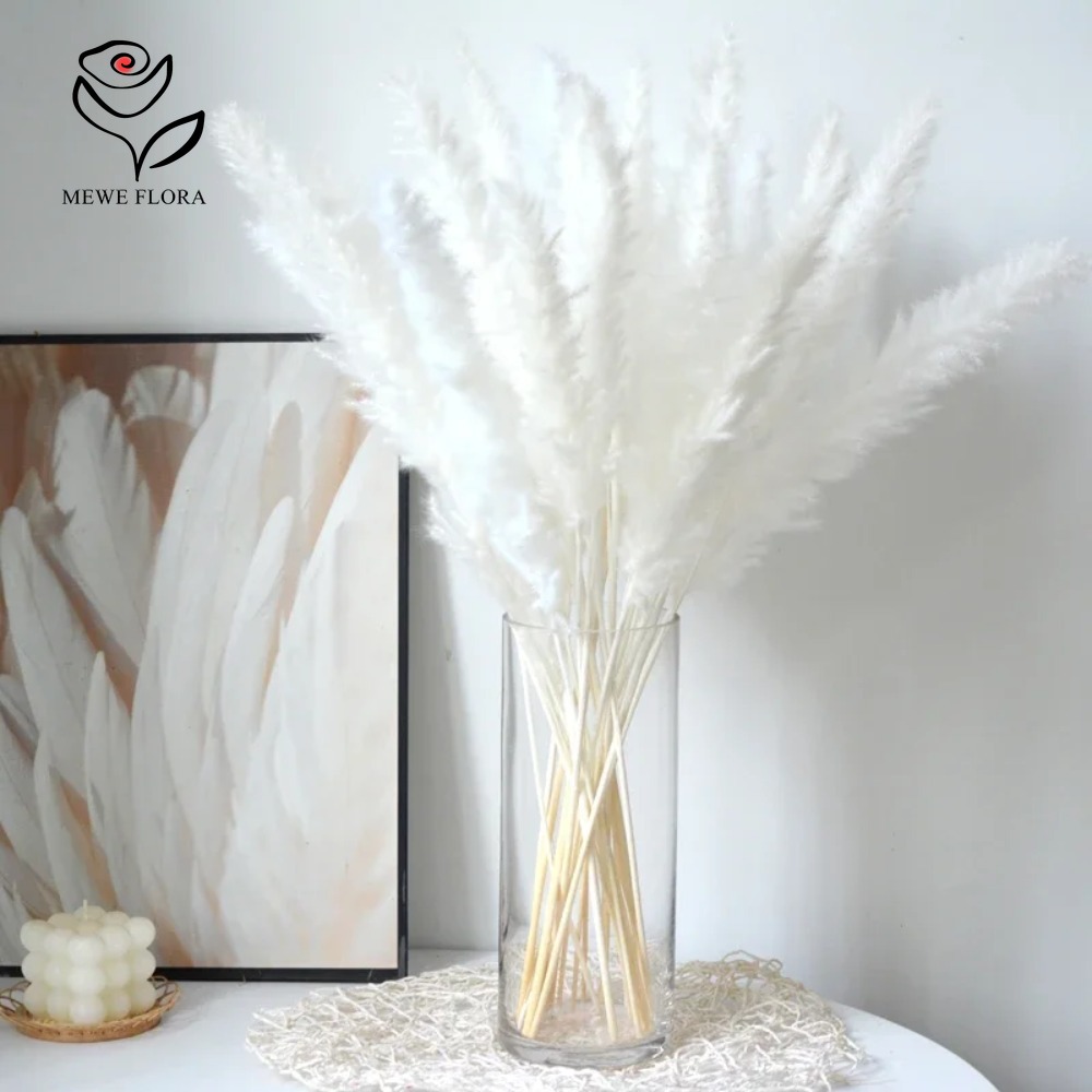 Dried Pampas Bundle - 20 Peças de Capim dos Pampas