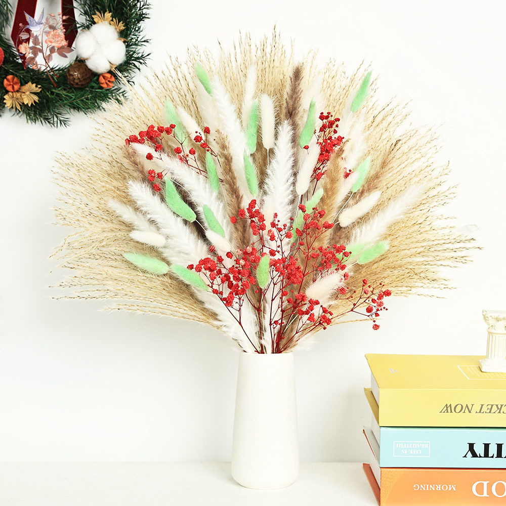 Dried Pampas Bundle - 70 hastes fofas verdes vermelhas pampas