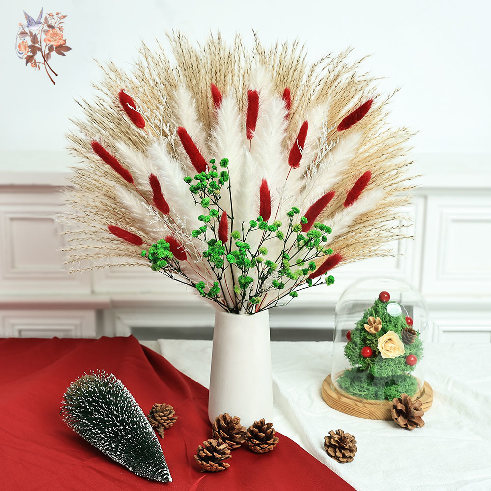 Dried Pampas Bundle - Buquê de flores secas, 55 peças,