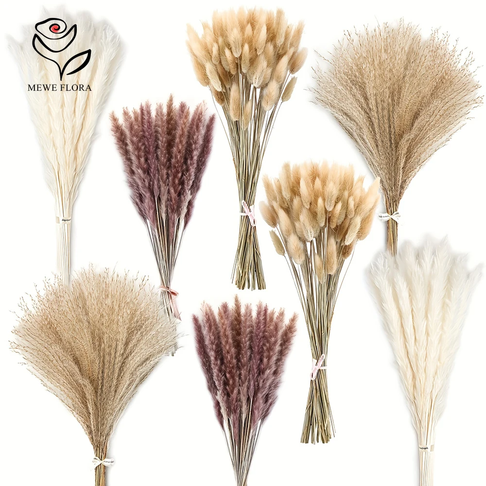 Dried Pampas Bundle - Queas de coelho de pampas secas,