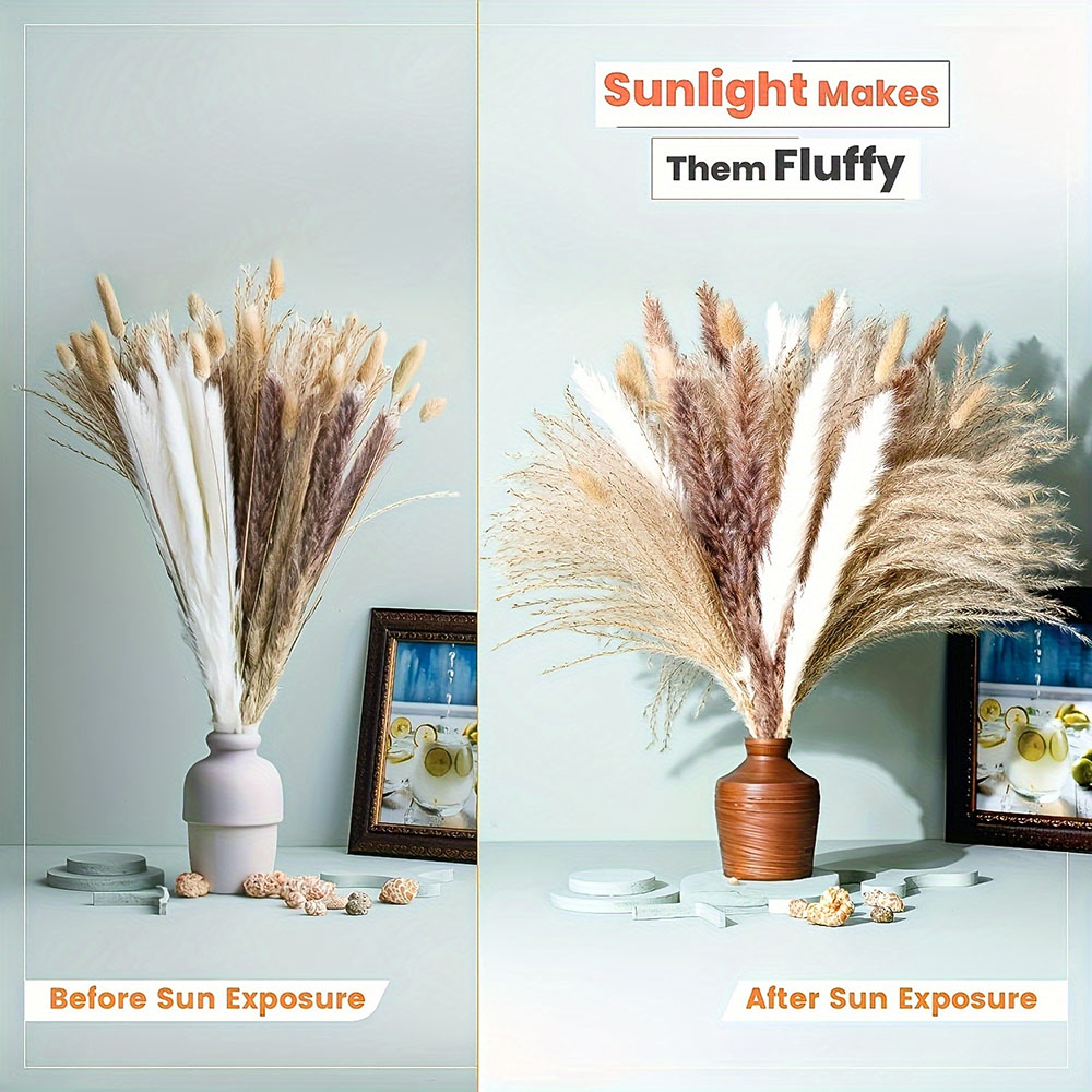 Buquê de Flores Secas Naturais - Dried Pampas Bundle avaliação e preço