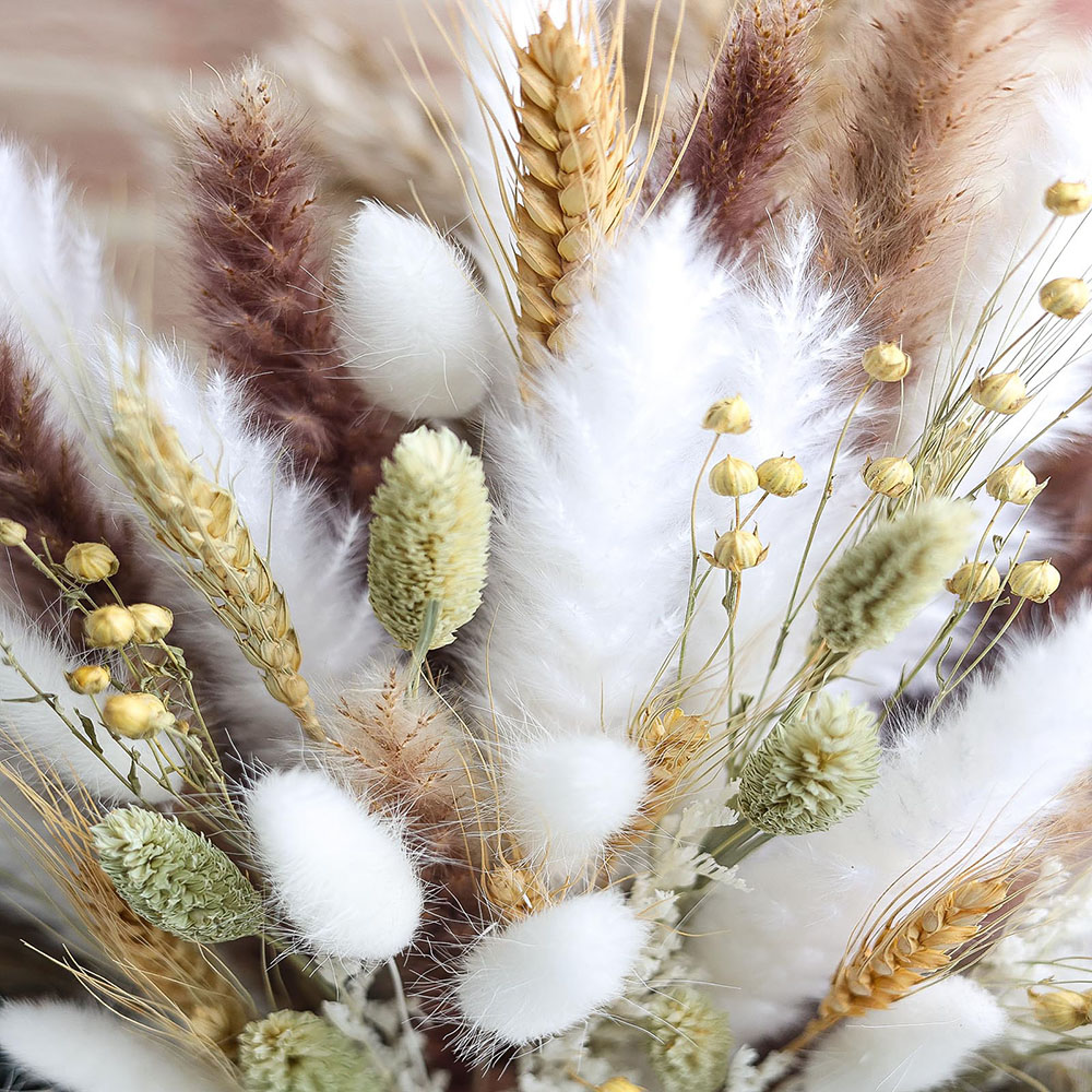 Buquê de grama de pampas secas - Dried Pampas Bundle avaliação e preço
