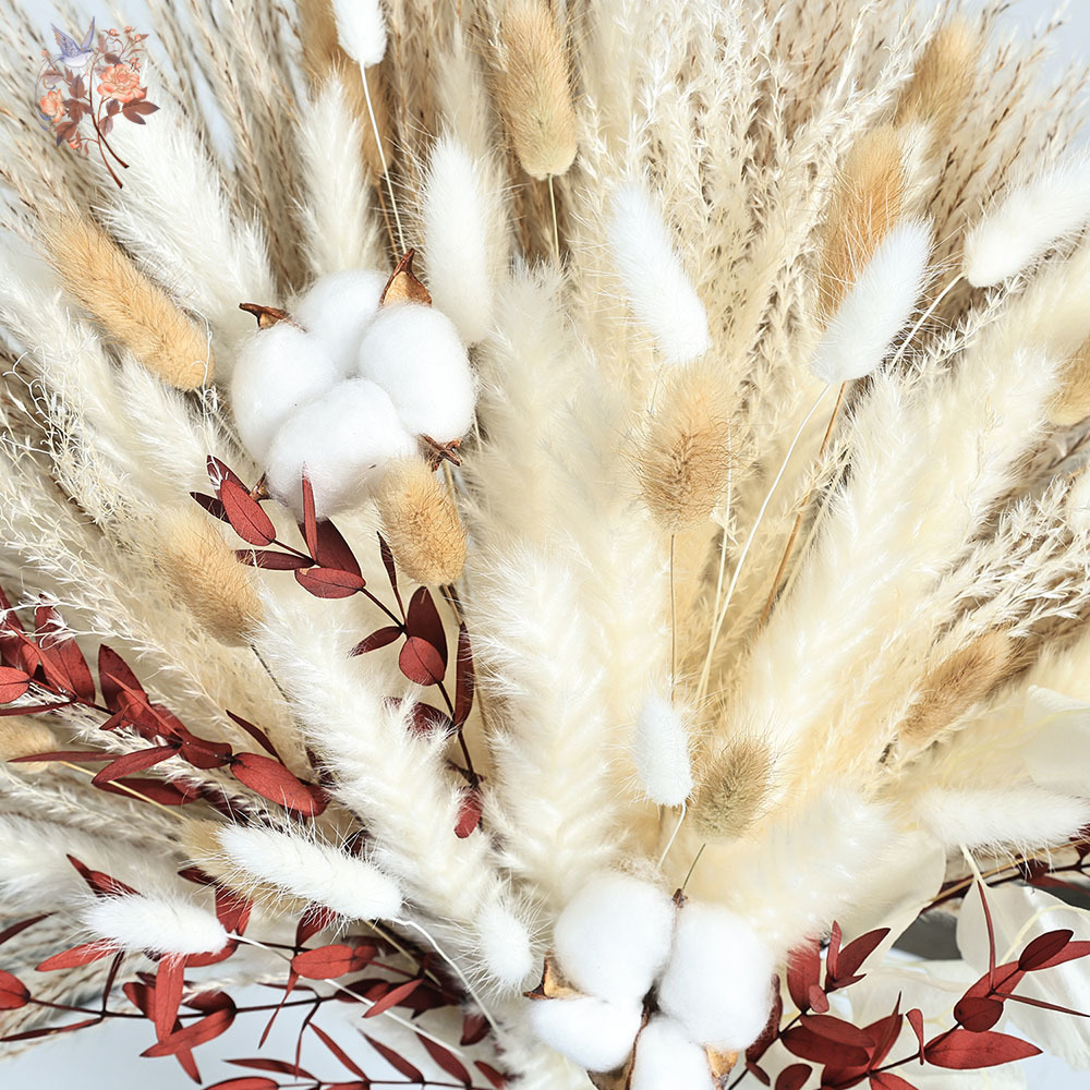 Buquê de flores secas de pampa - Dried Pampas Bundle avaliação e preço
