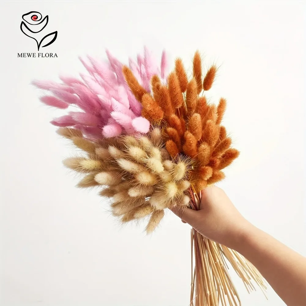 90 pçs misturado 3 cores cauda - Dried Pampas Bundle avaliação e preço