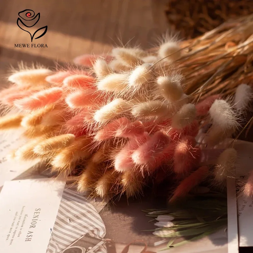 90 pçs misturado 3 cores cauda - Dried Pampas Bundle avaliação e preço