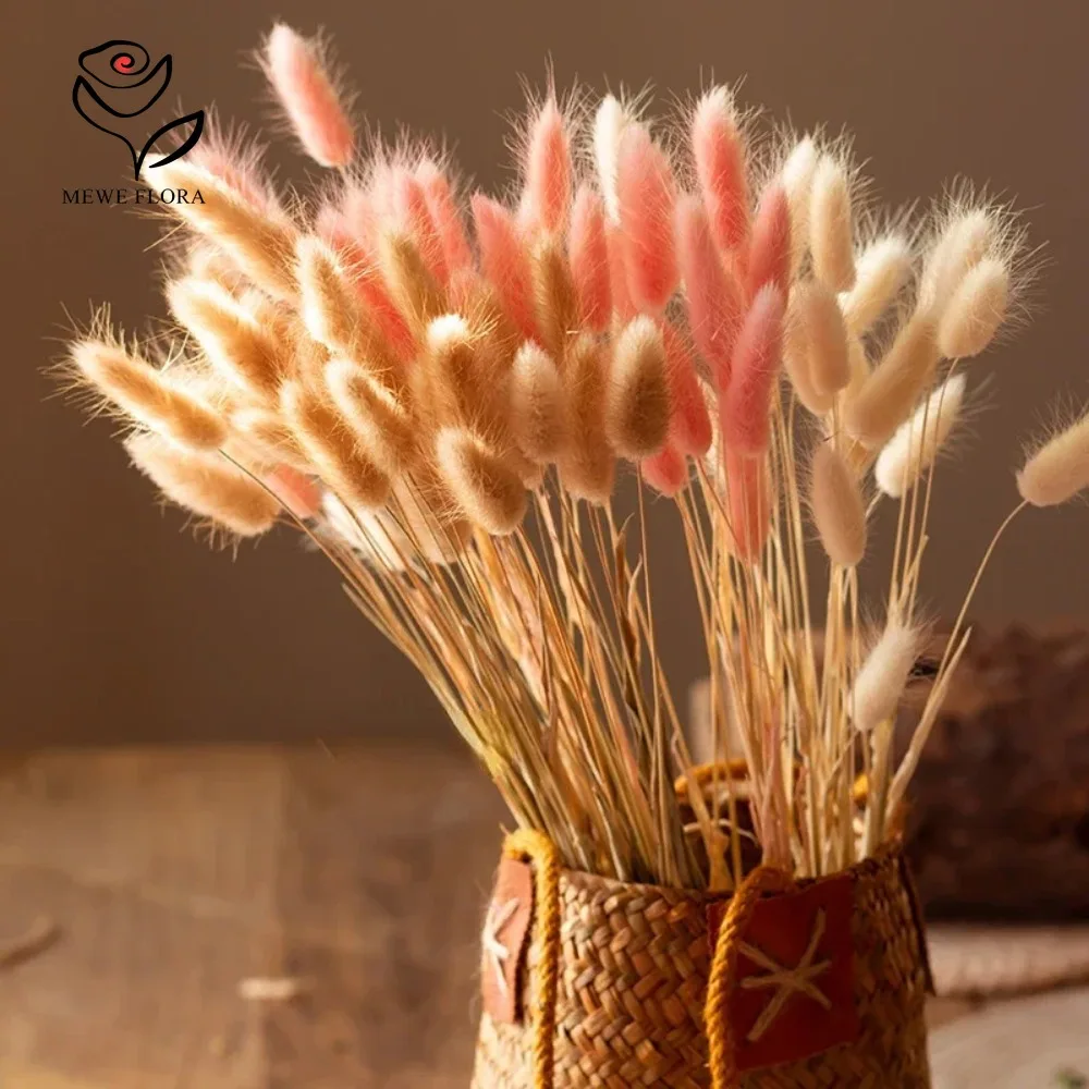 90 pçs misturado 3 cores cauda - Dried Pampas Bundle avaliação e preço