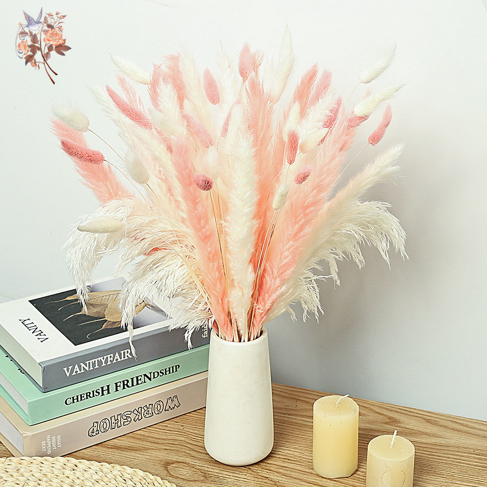 62 peças palhetas brancas rosa - Dried Pampas Bundle avaliação e preço