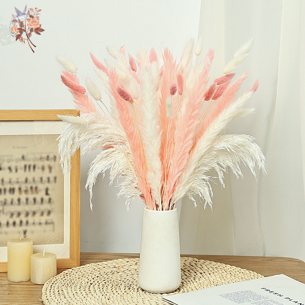 62 peças palhetas brancas rosa - Dried Pampas Bundle avaliação e preço