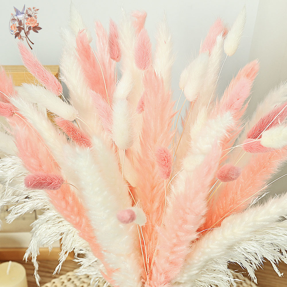 62 peças palhetas brancas rosa - Dried Pampas Bundle avaliação e preço