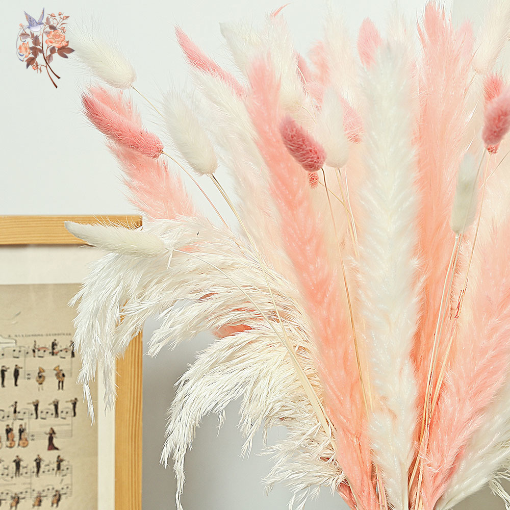 62 peças palhetas brancas rosa - Dried Pampas Bundle avaliação e preço