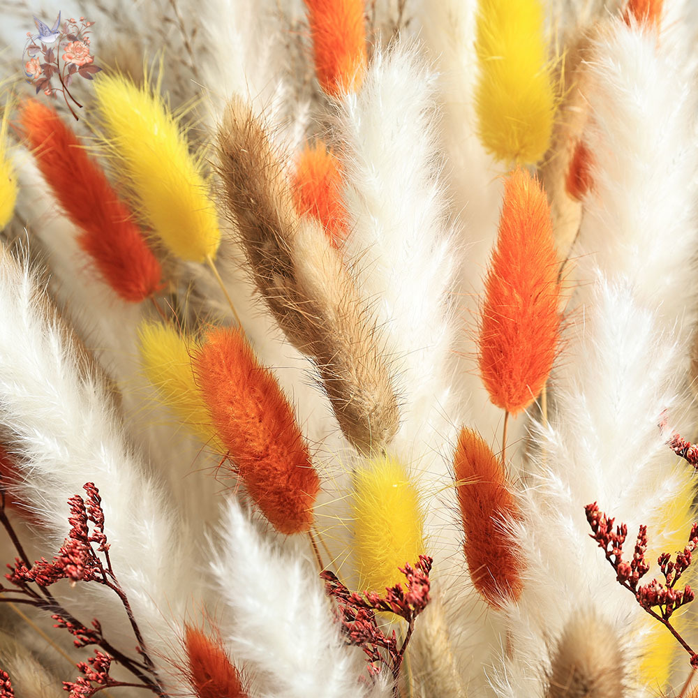 85 peças natural fofo outono p - Dried Pampas Bundle avaliação e preço