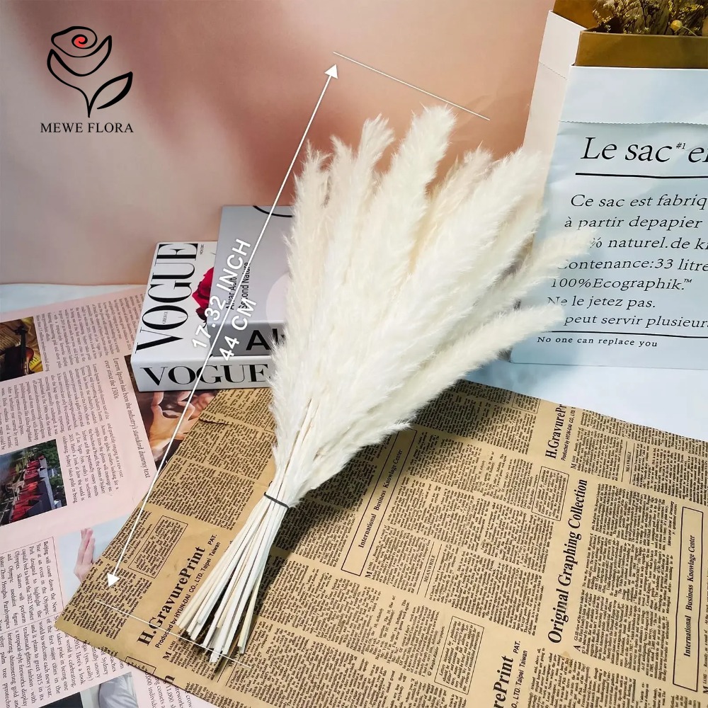 20 Peças de Capim dos Pampas F - Dried Pampas Bundle avaliação e preço