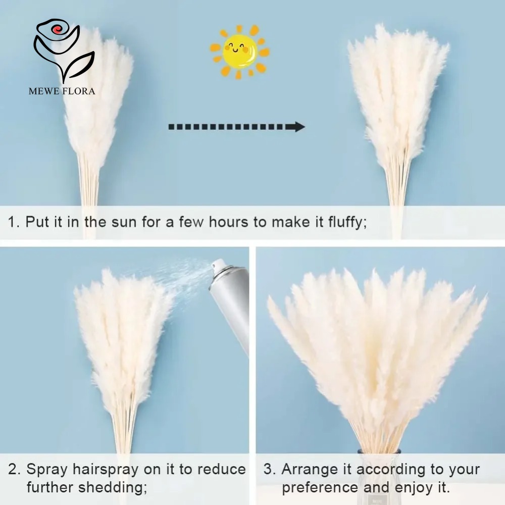 20 Peças de Capim dos Pampas F - Dried Pampas Bundle avaliação e preço