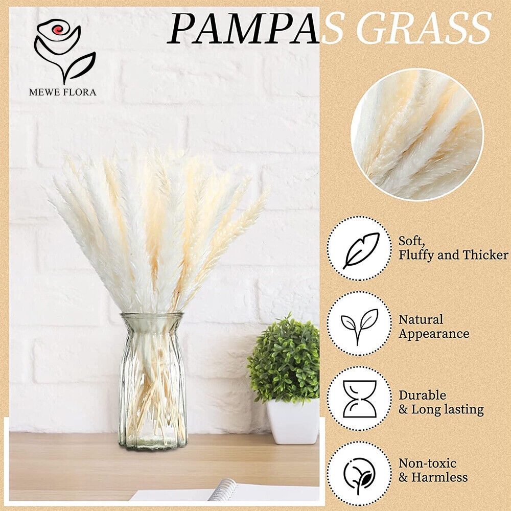 20 Peças de Capim dos Pampas F - Dried Pampas Bundle avaliação e preço