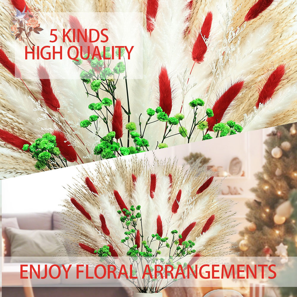 Buquê de flores secas, 55 peça - Dried Pampas Bundle avaliação e preço