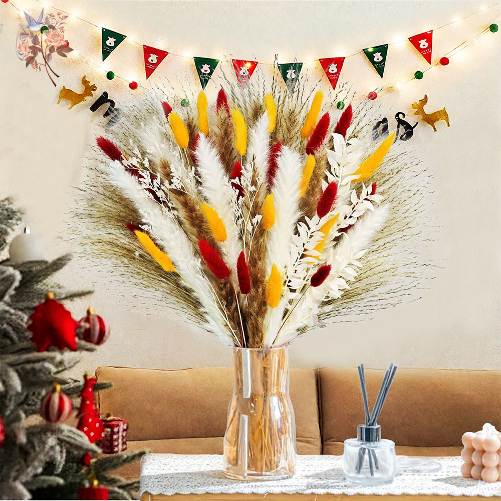 70 hastes naturais fofas pampa - Dried Pampas Bundle avaliação e preço