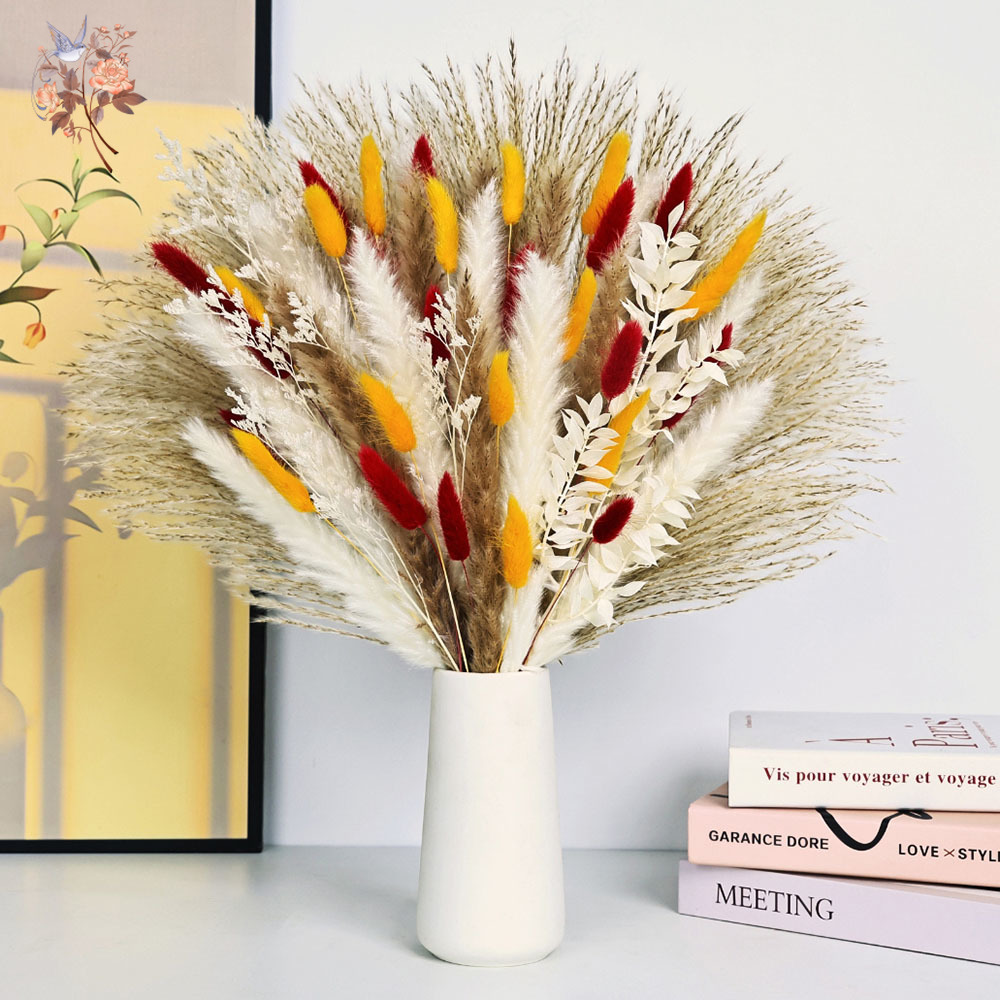 70 hastes naturais fofas pampa - Dried Pampas Bundle avaliação e preço
