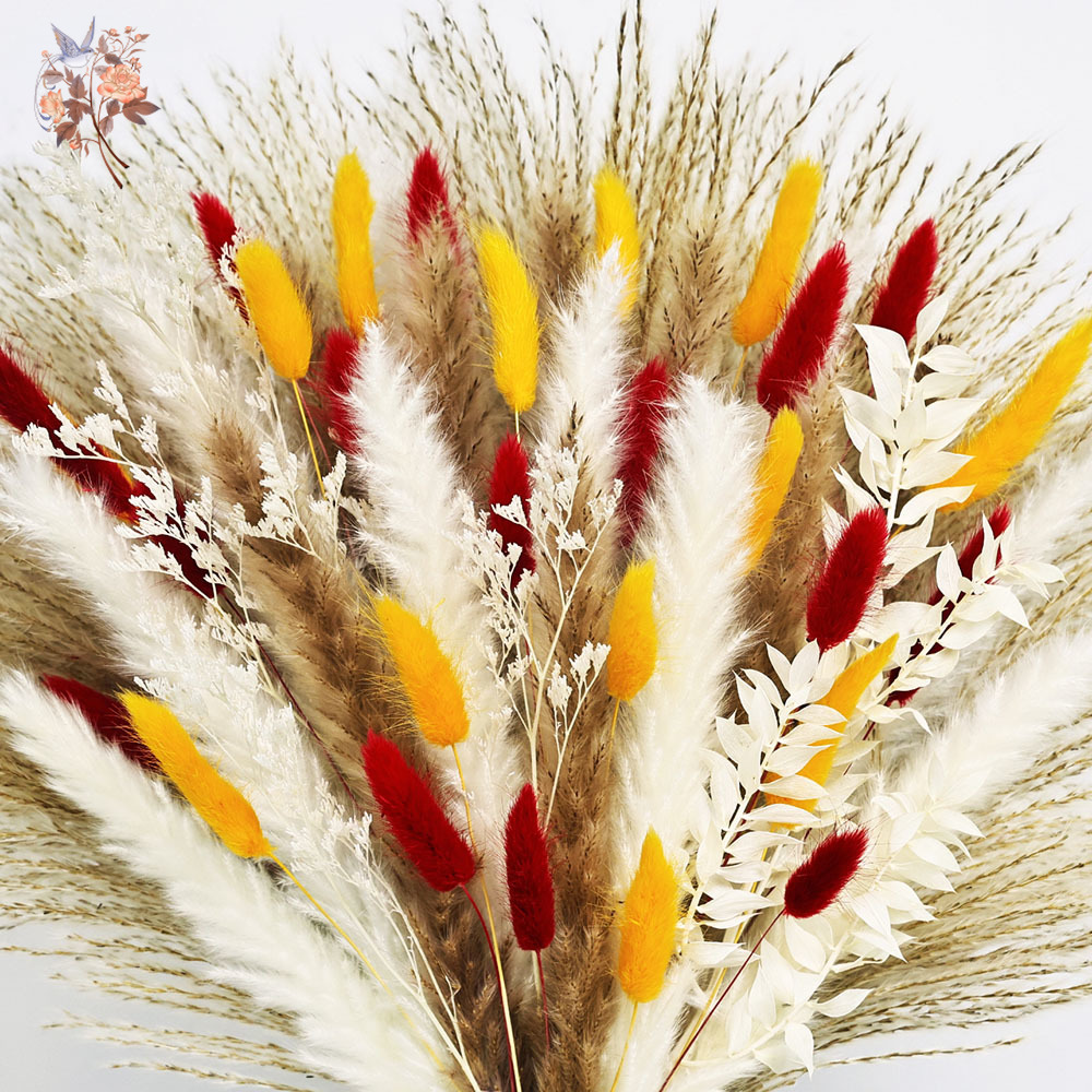 70 hastes naturais fofas pampa - Dried Pampas Bundle avaliação e preço