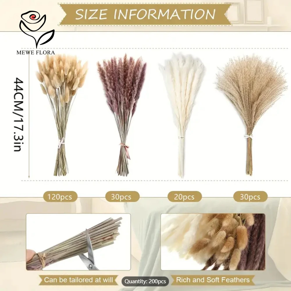 Queas de coelho de pampas seca - Dried Pampas Bundle avaliação e preço