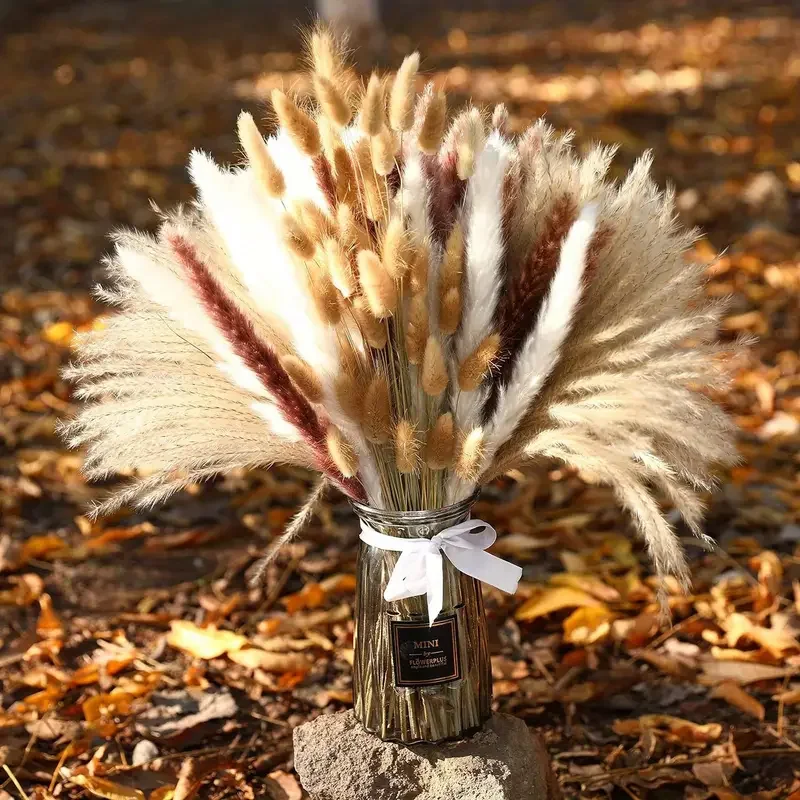 Queas de coelho de pampas seca - Dried Pampas Bundle avaliação e preço